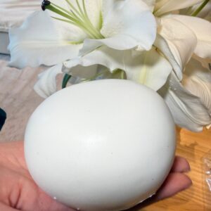 Soft Milk Bun(Scented) Hachimi Foam Slow Rebound Squishy Fidget Toy