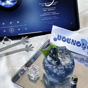 Blueberry Cup Squishy Fidget Toy(3-5 Days to make）